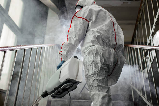 Why You Should Choose Our Mold Remediation Services in Double Oak, TX